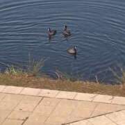 ヒメ日記 2025/09/16 18:03 投稿 福山さん SA～Sanitatem Angelum～癒やしの天使