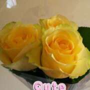 ヒメ日記 2025/10/29 10:17 投稿 福山さん SA～Sanitatem Angelum～癒やしの天使