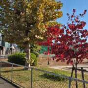 ヒメ日記 2025/11/07 08:04 投稿 福山さん SA～Sanitatem Angelum～癒やしの天使