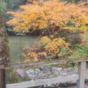 ヒメ日記 2025/11/13 00:09 投稿 福山さん SA～Sanitatem Angelum～癒やしの天使