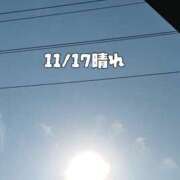 ヒメ日記 2025/11/17 14:57 投稿 福山さん SA～Sanitatem Angelum～癒やしの天使