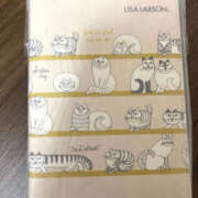 ヒメ日記 2025/12/10 18:30 投稿 福山さん SA～Sanitatem Angelum～癒やしの天使