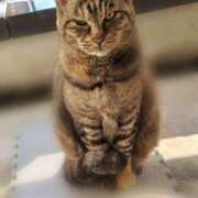 ヒメ日記 2025/12/15 03:30 投稿 福山さん SA～Sanitatem Angelum～癒やしの天使