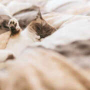 ヒメ日記 2026/01/06 18:14 投稿 福山さん SA～Sanitatem Angelum～癒やしの天使