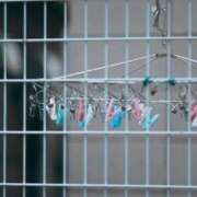 ヒメ日記 2026/01/14 18:20 投稿 福山さん SA～Sanitatem Angelum～癒やしの天使