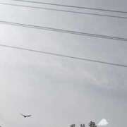 ヒメ日記 2026/01/15 14:29 投稿 福山さん SA～Sanitatem Angelum～癒やしの天使