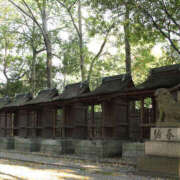 ヒメ日記 2026/02/10 21:30 投稿 福山さん SA～Sanitatem Angelum～癒やしの天使