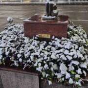 ヒメ日記 2026/02/18 23:29 投稿 福山さん SA～Sanitatem Angelum～癒やしの天使