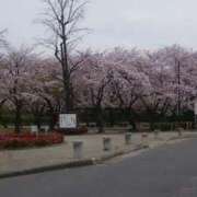 ヒメ日記 2026/02/27 21:10 投稿 福山さん SA～Sanitatem Angelum～癒やしの天使