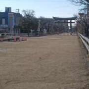 ヒメ日記 2026/03/02 00:20 投稿 福山さん SA～Sanitatem Angelum～癒やしの天使