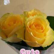 ヒメ日記 2026/03/09 01:21 投稿 福山さん SA～Sanitatem Angelum～癒やしの天使