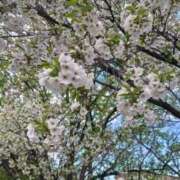 ヒメ日記 2026/03/09 04:40 投稿 福山さん SA～Sanitatem Angelum～癒やしの天使