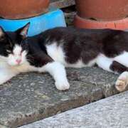 ヒメ日記 2026/03/22 04:11 投稿 福山さん SA～Sanitatem Angelum～癒やしの天使