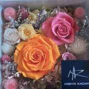 ヒメ日記 2026/04/29 03:15 投稿 福山さん SA～Sanitatem Angelum～癒やしの天使