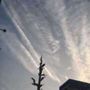 ヒメ日記 2026/06/11 20:17 投稿 福山さん SA～Sanitatem Angelum～癒やしの天使