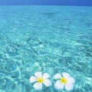 ヒメ日記 2025/08/24 18:13 投稿 美彩希(ミサキ） グランドオペラ名古屋