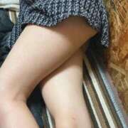 ヒメ日記 2025/07/25 17:00 投稿 すずめ 大阪はまちゃん日本橋店