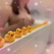 ヒメ日記 2025/11/19 22:10 投稿 【SP】ゆうき サマンサ(和歌山)