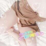 【SP】ゆうき しゅっ🦖🐾 サマンサ(和歌山)