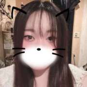 ヒメ日記 2025/07/31 21:40 投稿 みずな パイの巣