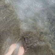 ヒメ日記 2025/09/01 19:23 投稿 みずな パイの巣