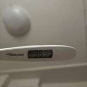 ヒメ日記 2025/10/17 18:03 投稿 みずな パイの巣