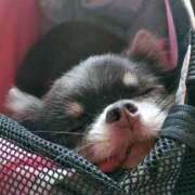 あすか [お題]from:水がぶ飲み☆さん 素人妻達☆マイふぇらレディー