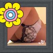 ヒメ日記 2025/08/24 15:07 投稿 じゅんな 水戸人妻花壇