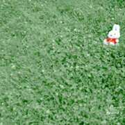 じゅんな お礼です 水戸人妻花壇