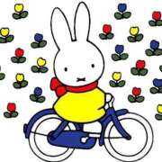 ヒメ日記 2025/12/10 01:48 投稿 じゅんな 水戸人妻花壇