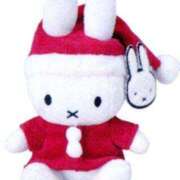 ヒメ日記 2025/12/25 20:45 投稿 じゅんな 水戸人妻花壇