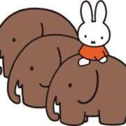 ヒメ日記 2026/01/12 23:44 投稿 じゅんな 水戸人妻花壇