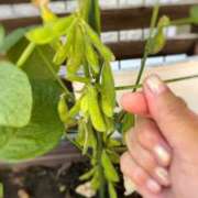 ヒメ日記 2025/07/25 15:46 投稿 川池江里奈 五十路マダム姫路店