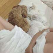 ヒメ日記 2025/09/13 13:04 投稿 川池江里奈 五十路マダム姫路店