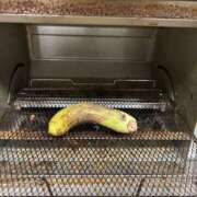 ヒメ日記 2025/09/17 16:56 投稿 川池江里奈 五十路マダム姫路店