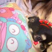 ヒメ日記 2026/02/15 07:56 投稿 川池江里奈 五十路マダム姫路店