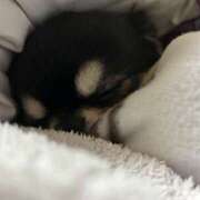 ヒメ日記 2026/02/26 10:28 投稿 川池江里奈 五十路マダム姫路店