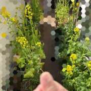 ヒメ日記 2026/03/08 09:42 投稿 川池江里奈 五十路マダム姫路店