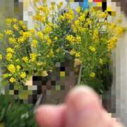 ヒメ日記 2026/03/19 12:42 投稿 川池江里奈 五十路マダム姫路店