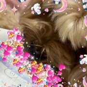 ヒメ日記 2026/03/26 19:42 投稿 川池江里奈 五十路マダム姫路店