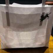 ヒメ日記 2026/02/11 00:01 投稿 キラリ エピソード(品川)