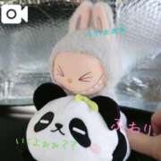 ヒメ日記 2025/08/16 11:28 投稿 ふわり 成田富里インターちゃんこ