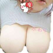 ヒメ日記 2025/08/19 12:28 投稿 ふわり 成田富里インターちゃんこ