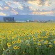 ヒメ日記 2025/08/29 11:01 投稿 くるみ 渋谷じゃっくす