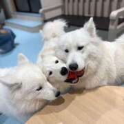 くるみ 本日出勤です🩷 渋谷じゃっくす