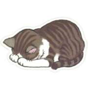 ヒメ日記 2026/04/11 13:41 投稿 あおい LEVEL1