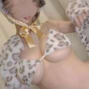 ヒメ日記 2025/11/01 00:42 投稿 ゆうひ 東京メンズボディクリニック TMBC 渋谷店