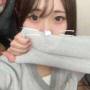 ヒメ日記 2025/09/27 17:51 投稿 しずく LEVEL1