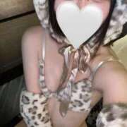 ヒメ日記 2025/11/08 18:02 投稿 しずく LEVEL1