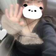 ヒメ日記 2026/01/27 20:22 投稿 しずく LEVEL1